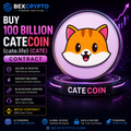 100 Billion Catecoin (cate.life) (CATE) - Contract