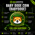 BEXCRYPTO 1 Billion Baby Doge Coin (BabyDoge) cloud mining contract featuring the official BabyDoge logo with a futuristic blockchain mining design.