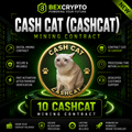 BEXCRYPTO 10 Cash Cat (CASHCAT) cloud mining contract featuring the Cash Cat logo with a futuristic blockchain mining design.