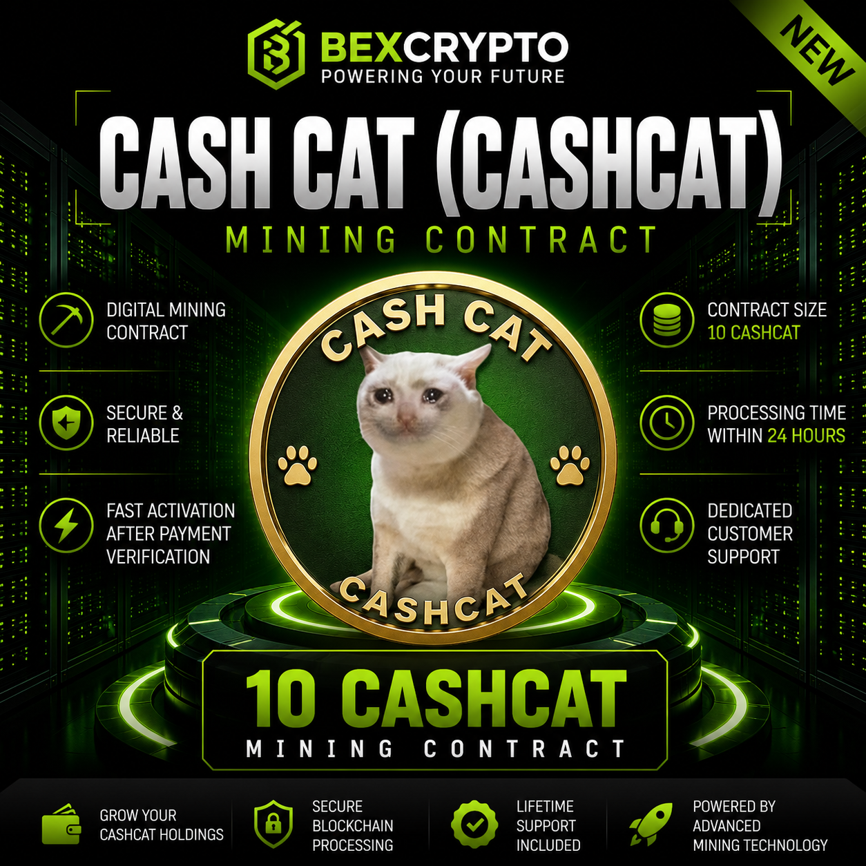 BEXCRYPTO 10 Cash Cat (CASHCAT) cloud mining contract featuring the Cash Cat logo with a futuristic blockchain mining design.