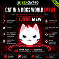 BEXCRYPTO 1000 cat in a dogs world (MEW) cloud mining contract featuring the MEW mascot with futuristic blockchain and cloud mining technology.
