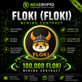 BEXCRYPTO 100,000 FLOKI (FLOKI) cloud mining contract product image featuring secure cryptocurrency mining contract branding and FLOKI token design.
