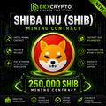 BEXCRYPTO 250,000 Shiba Inu (SHIB) mining contract featuring the SHIB coin logo with secure cloud mining, fast activation, blockchain-powered digital mining, and dedicated customer support.