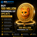 BEXCRYPTO Buy 100 Million Phenomenal Cat (PCAT) Contract product image featuring the PCAT coin with secure BEP20 blockchain contract, instant delivery, verified digital asset processing, and trusted crypto mining services.